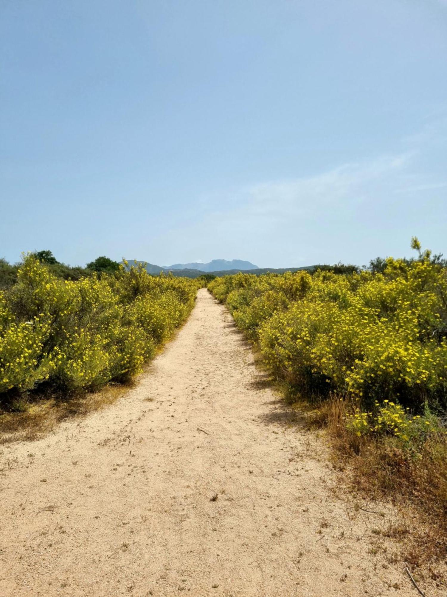 Appartamento Olbia Vecchie Saline Мурта-Мария Экстерьер фото